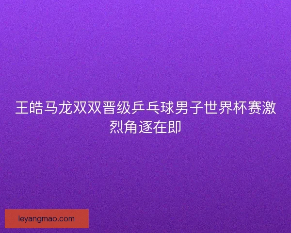 王皓马龙双双晋级乒乓球男子世界杯赛激烈角逐在即 王皓马龙双双晋级乒乓球男子世界杯赛激烈角逐在即